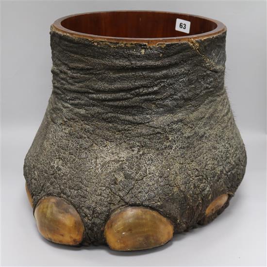 An early 20th C Elephants Foot waste paper bin. Provenance: item has been in the vendors family in East Africa prior 1940 H.33cm